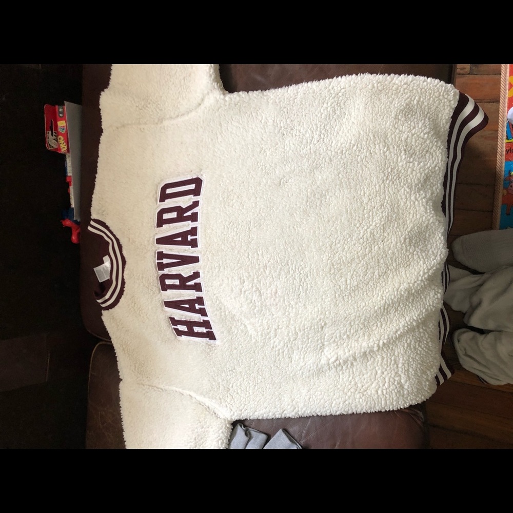 Harvard fuzzy Champion sweater